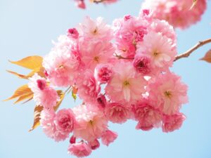 ワキガの匂いレベルをどう判断すればいいの？