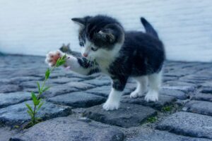 体操服のワキガによる臭いを洗濯で解消する方法は？