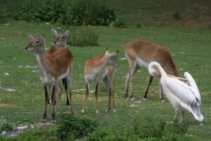 中高生のワキガや脇汗がひどい時の対策は？
