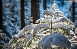 思春期のわきがについての相談はどこでできる？